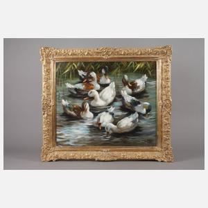 Christian Jereczek, Enten im Wasser