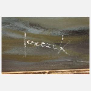 Christian Jereczek, Enten im Wasser