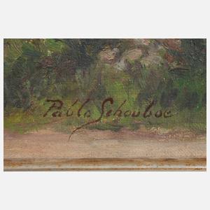 Pablo Schouboe, Landschaft in Trans-Patagonien