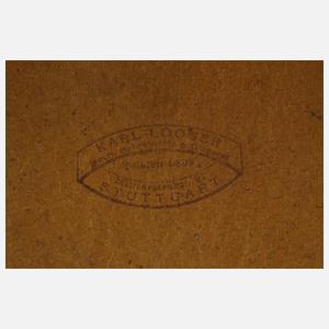 Landschaft mit Schafen