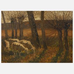 Landschaft mit Schafen