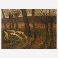 Landschaft mit Schafen111