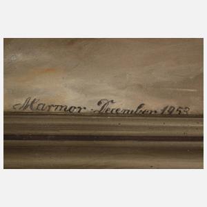 Pferdeportrait "Marmor"