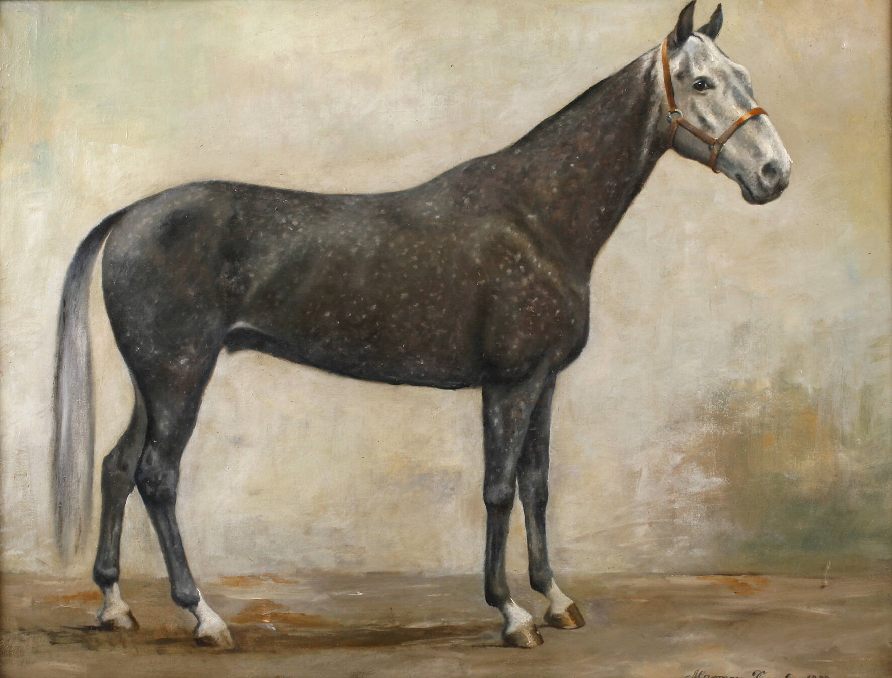 Pferdeportrait "Marmor"