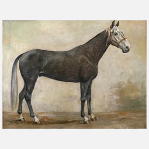 Pferdeportrait "Marmor"