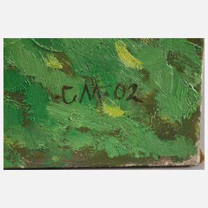 Blühende Wiese vorm Bauernhaus