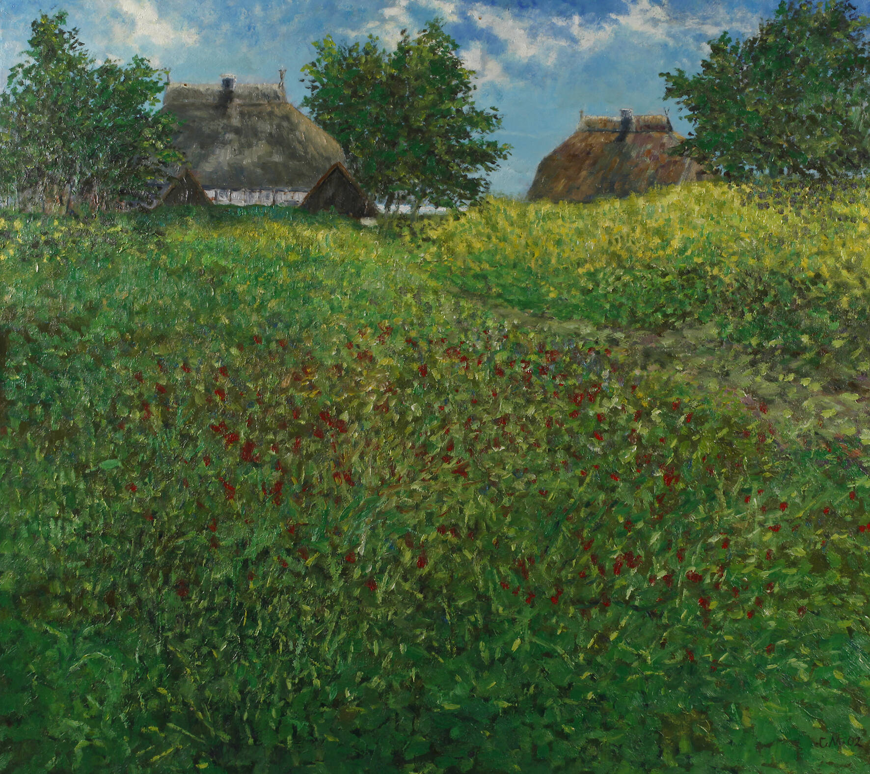 Blühende Wiese vorm Bauernhaus