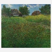 Blühende Wiese vorm Bauernhaus111