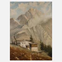 Alpiner Bauernhof111