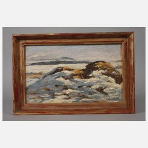 Winterliche Landschaft