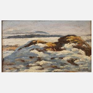 Winterliche Landschaft