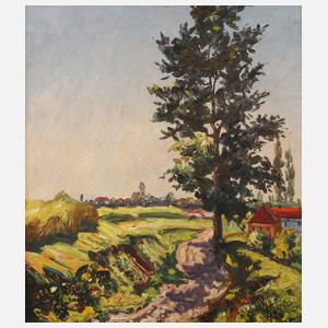 Expressive Sommerlandschaft