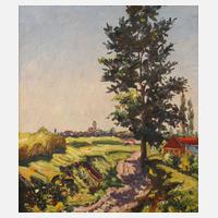 Expressive Sommerlandschaft111