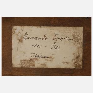 Die Isola Bella auf dem Lago Maggiore