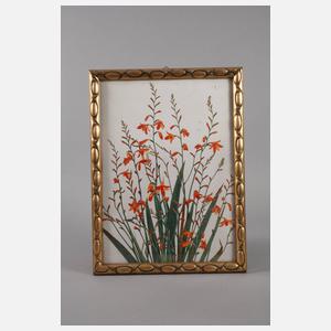 Zwei verschiedene Rahmen