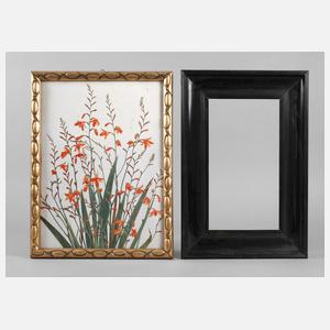 Zwei verschiedene Rahmen