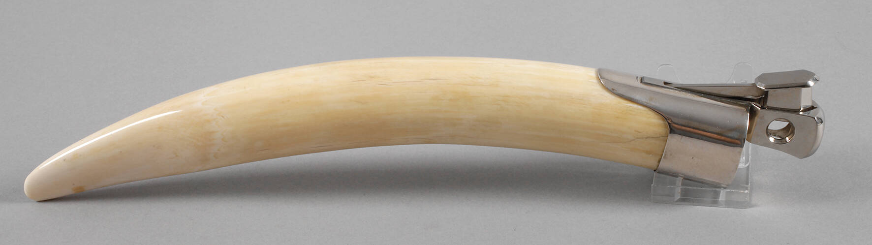 Zigarrenabschneider Elfenbein