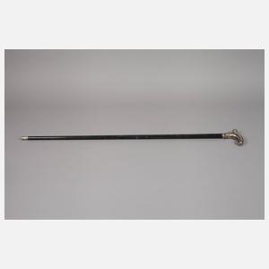 Spazierstock Silber