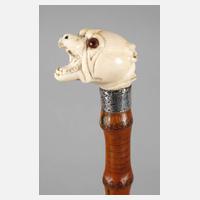 Spazierstock Elfenbein111