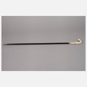 Spazierstock Walrosszahn
