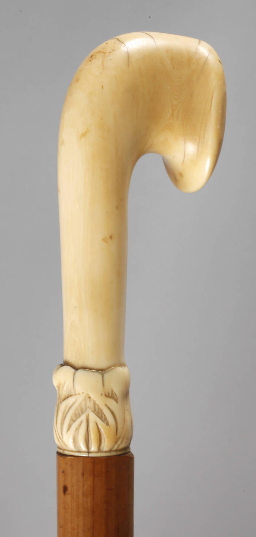 Spazierstock Elfenbein