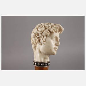 Spazierstock Elfenbein