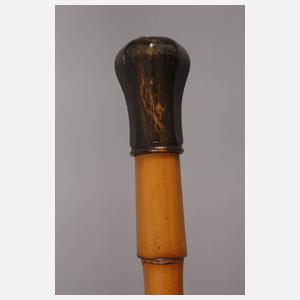 Spazierstock Horn