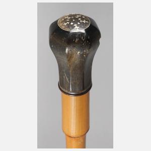 Spazierstock Horn