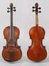 Violine