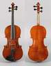 Violine