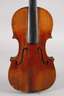 Violine