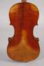 Violine