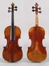 Violine