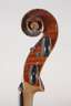 Violine