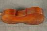 Cello