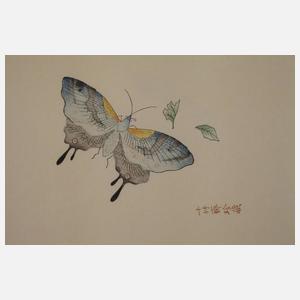 Hu Zhengyan, Das Manual des Zehn-Bambus-Studios