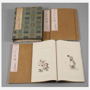 Hu Zhengyan, Das Manual des Zehn-Bambus-Studios