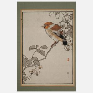 Fünf Farbholzschnitte