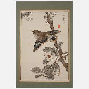 Fünf Farbholzschnitte