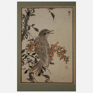 Fünf Farbholzschnitte