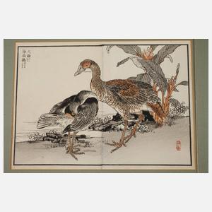 Fünf Farbholzschnitte