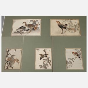 Fünf Farbholzschnitte