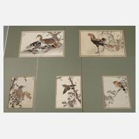 Fünf Farbholzschnitte111