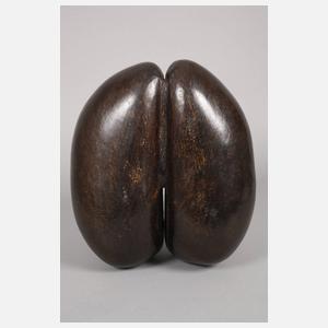 Coco de mer