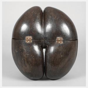 Coco de mer