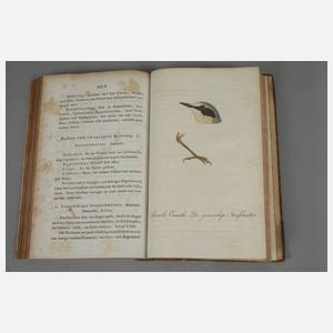 Taschenbuch der deutschen Vogelkunde