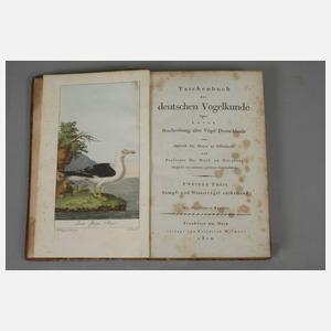 Taschenbuch der deutschen Vogelkunde
