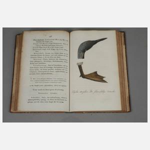 Taschenbuch der deutschen Vogelkunde