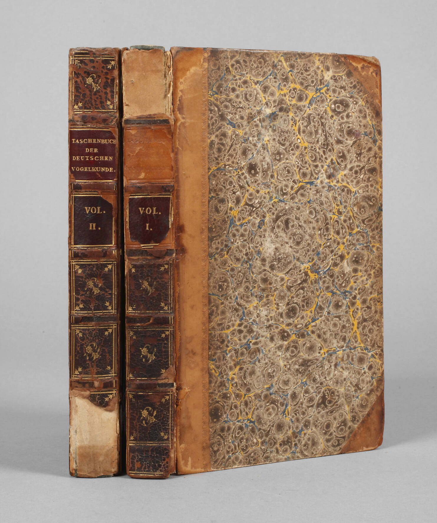 Taschenbuch der deutschen Vogelkunde