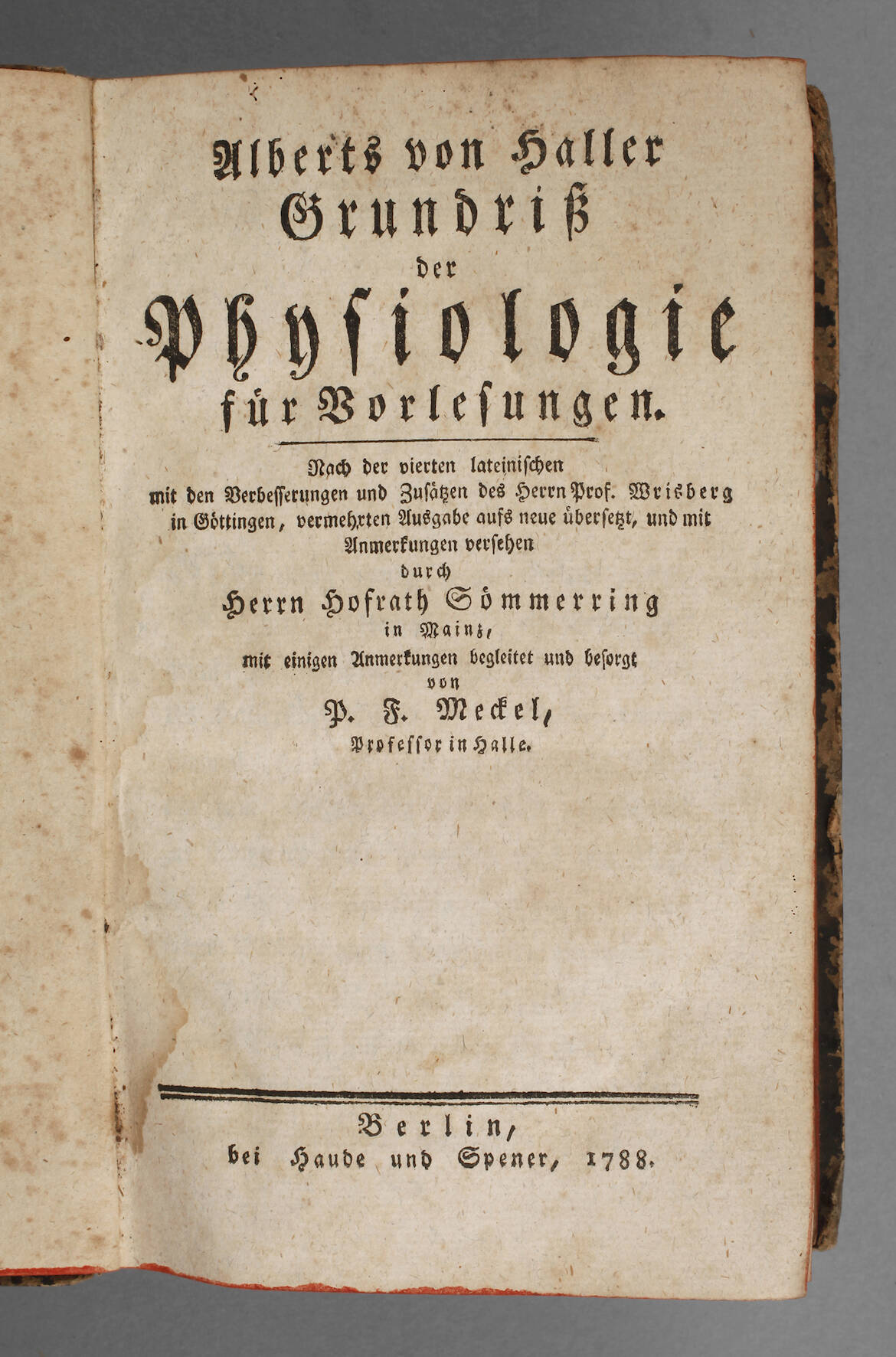 Alberts von Haller Grundriß